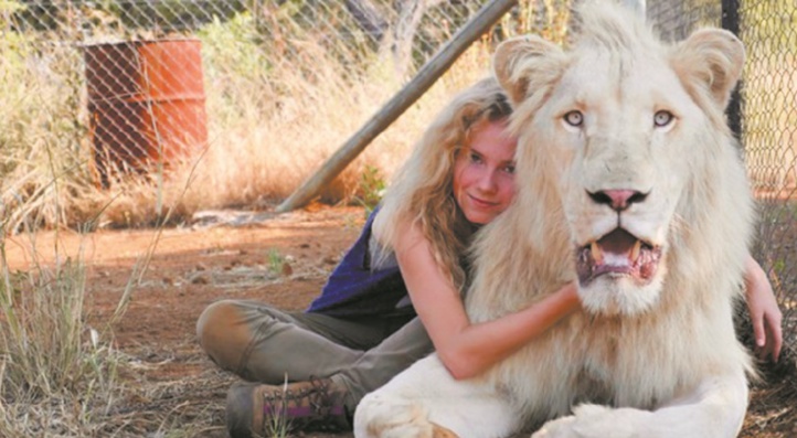 “Mia et le Lion Blanc”, une fable tendre, sauvage et engagée “Mia et le Lion Blanc”, une fable tendre, sauvage et engagée