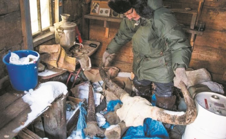 Mammouths en Sibérie : La ruée vers “l'ivoire des glaces” Mammouths en Sibérie : La ruée vers “l'ivoire des glaces”