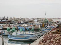 La pêche de nuit à l’aide de lumières artificielles menace les richesses halieutiques : Les pêcheurs du Nord tirent la sonnette d’alarme La pêche de nuit à l’aide de lumières artificielles menace les richesses halieutiques : Les pêcheurs du Nord tirent la sonnette d’alarme