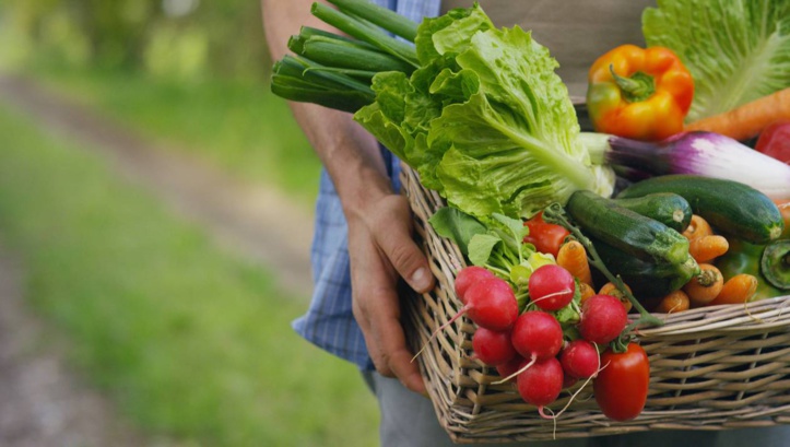 Top départ du “lundi vert” sans viande ni poisson