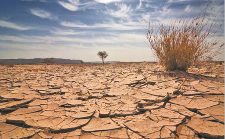 De nouveaux soutiens financiers dédiés aux mesures d’adaptation au changement climatique De nouveaux soutiens financiers dédiés aux mesures d’adaptation au changement climatique