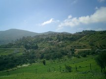 A Taza, l’association Adrar monte au créneau : Massacre sans relâche des plantes aromatiques et médicinales A Taza, l’association Adrar monte au créneau : Massacre sans relâche des plantes aromatiques et médicinales