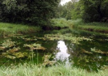 Les nappes phréatiques, potentielles “bombes à retardement” Les nappes phréatiques, potentielles “bombes à retardement”