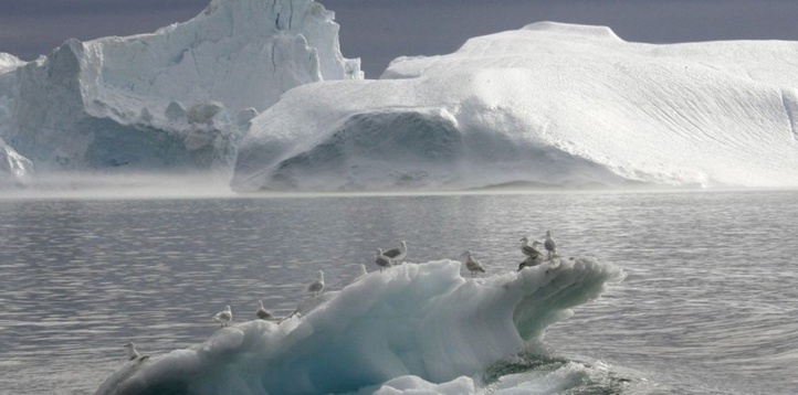 La fonte des glaces au Groenland multipliée par quatre en dix ans