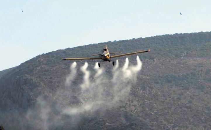 Participation du Maroc à un atelier africain sur la lutte antiacridienne Participation du Maroc à un atelier africain sur la lutte antiacridienne