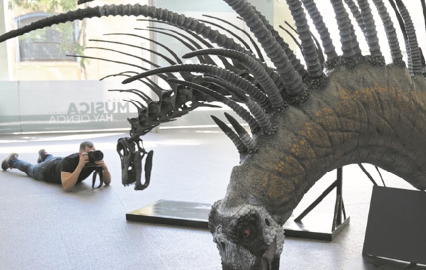 Un dinosaure se défendant avec ses épines découvert en Argentine Un dinosaure se défendant avec ses épines découvert en Argentine