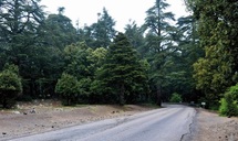 La foresterie au Maroc : enjeux et perspectives La foresterie au Maroc : enjeux et perspectives