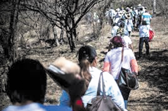 Au Mexique, quand des familles disparaissent en cherchant leurs disparus Au Mexique, quand des familles disparaissent en cherchant leurs disparus