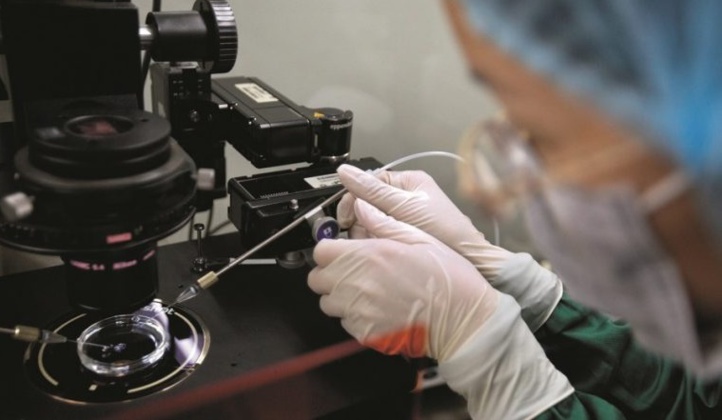 Bébés OGM: La Chine prépare des sanctions pour les savants fous Bébés OGM: La Chine prépare des sanctions pour les savants fous