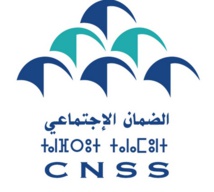 31% des salariés déclarés à la CNSS sont des femmes 31% des salariés déclarés à la CNSS sont des femmes