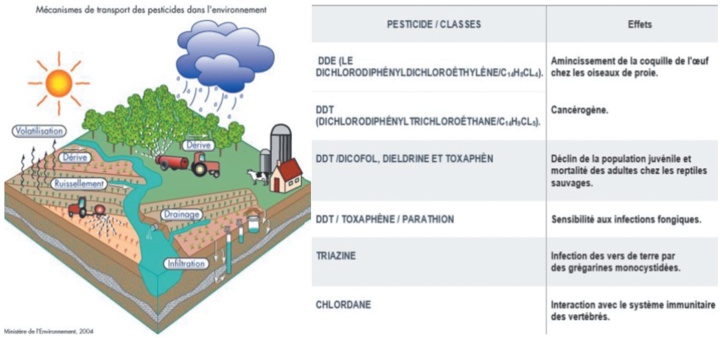 Pesticide bio et non bio, où est la différence ?