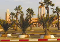 Pour un éveil des consciences Pour un éveil des consciences