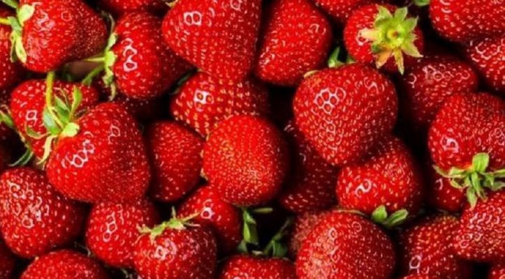 Coup d'envoi dans la province de Kénitra de la 9ème édition du Festival international de la fraise
