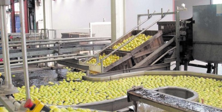 L'expérience marocaine en matière d'agro-industrie mise à Dakhla L'expérience marocaine en matière d'agro-industrie mise à Dakhla