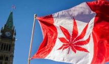 Pour de jeunes Canadiennes, le cannabis permet d'être une meilleure mère