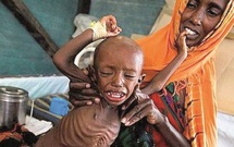 Avertissement onusien : La famine devrait frapper tout le sud de la Somalie