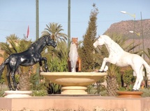 La capitale des Zayanes sans animation estivale : Le désert culturel et sportif de Khénifra La capitale des Zayanes sans animation estivale : Le désert culturel et sportif de Khénifra