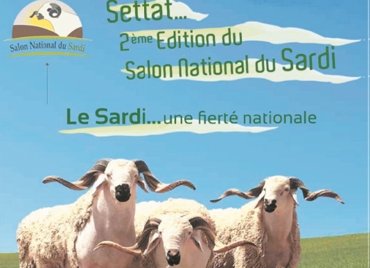 Le Salon national de la race Sardi ouvre ses portes à Settat Le Salon national de la race Sardi ouvre ses portes à Settat