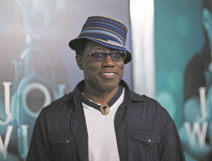 Ces célébrités ont touché le fond  : Wesley Snipes