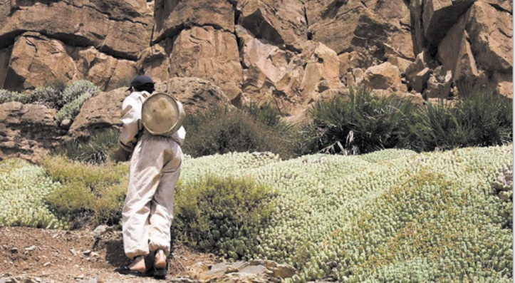 D'une rive à l'autre, la Fondation de France s’implique aux côtés de la société civile D'une rive à l'autre, la Fondation de France s’implique aux côtés de la société civile