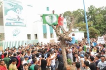 La marche des Verts La marche des Verts