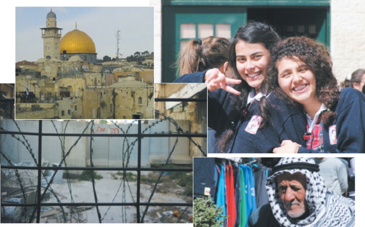 Le char et l’olivier Une autre histoire de la Palestine