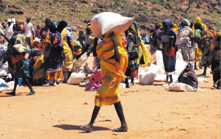 Au Tchad depuis 2003, les réfugiés du Darfour se sentent oubliés