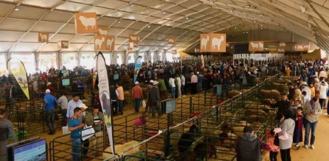 Le Maroc et le Bénin renforcent leur coopération agricole