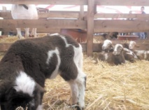 Pôle Nature et vie un voyage en terre connue Pôle Nature et vie un voyage en terre connue