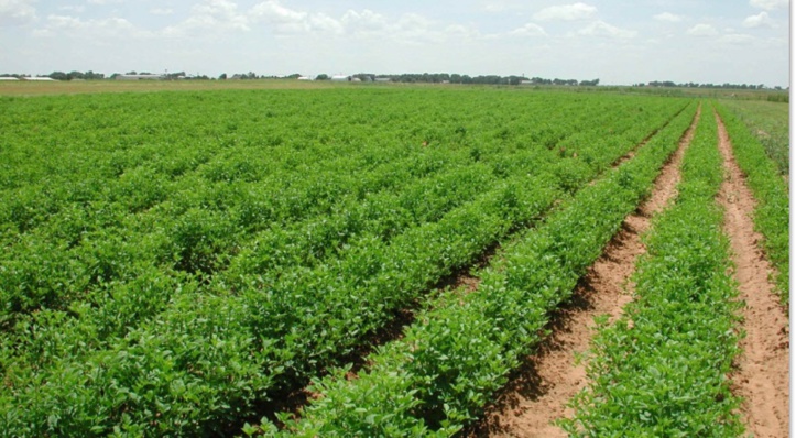 Répondre au défi de la relève générationnelle Répondre au défi de la relève générationnelle