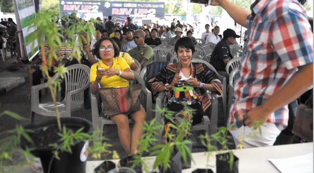 En Thaïlande, première fête du cannabis après la légalisation à usage médical En Thaïlande, première fête du cannabis après la légalisation à usage médical