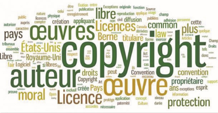 Vers une protection effective du livre et des droits d'auteur
