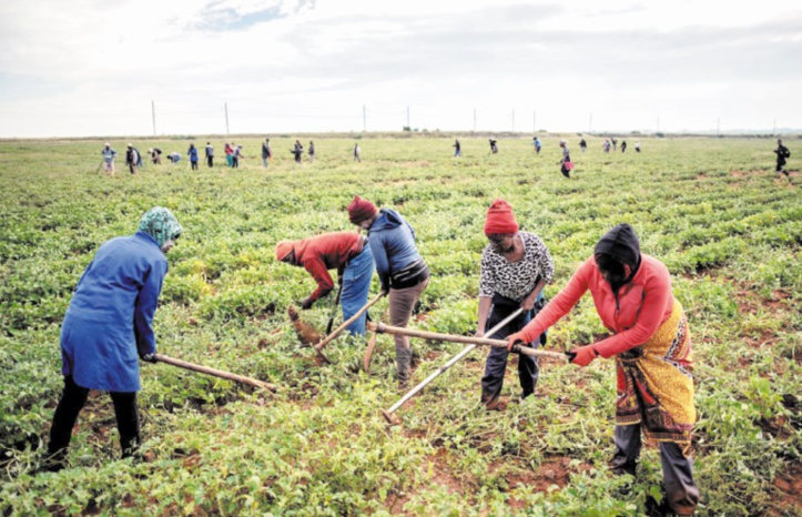 A Coligny, le long chemin de la réconciliation entre les races A Coligny, le long chemin de la réconciliation entre les races