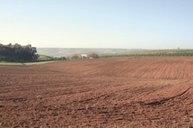 Essaouira : Un nouveau souffle pour le secteur agricole Essaouira : Un nouveau souffle pour le secteur agricole
