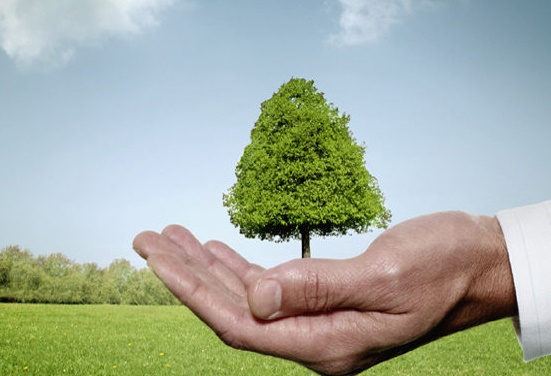 L’intégration de la dimension environnementale dans les programmes des collectivités territoriales L’intégration de la dimension environnementale dans les programmes des collectivités territoriales