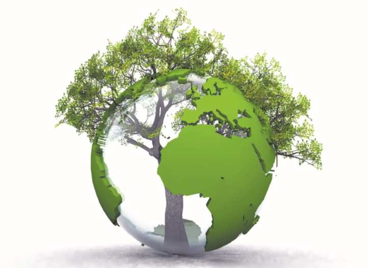 L’homme scie la branche sur laquelle il est assis : S.O.S extinction de masse des espèces L’homme scie la branche sur laquelle il est assis : S.O.S extinction de masse des espèces