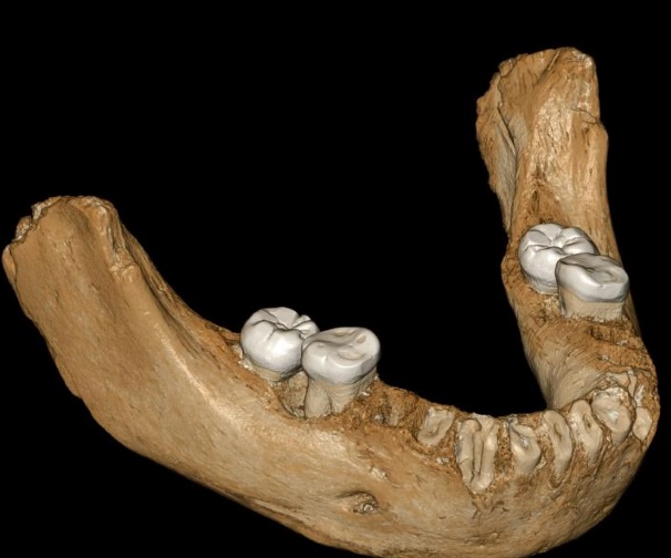 L'homme de Denisova a réussi à vivre sur le plateau tibétain il y a 160.000 ans