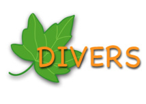 Divers Divers