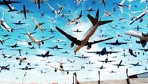 Dans les cieux africains, le trafic aérien en plein envol Dans les cieux africains, le trafic aérien en plein envol