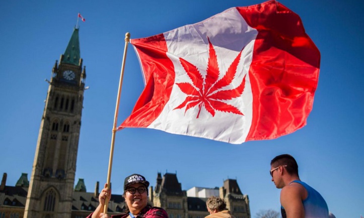 Au Canada, davantage de nouveaux consommateurs de cannabis depuis la légalisation