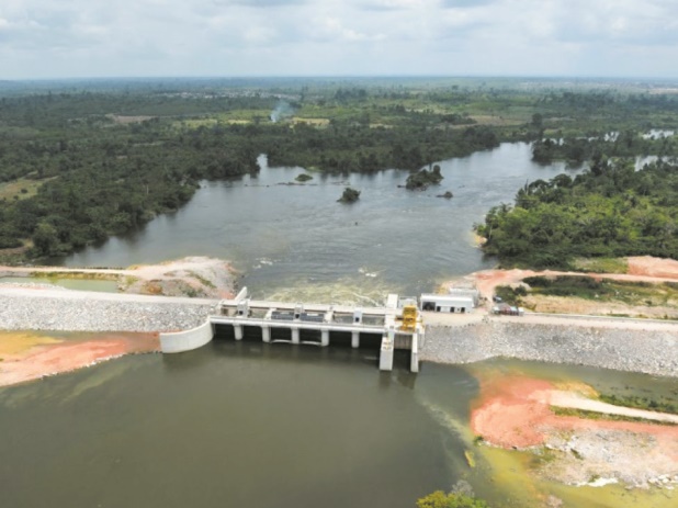 Deux tiers des plus longs cours d'eau entravés par l'Homme