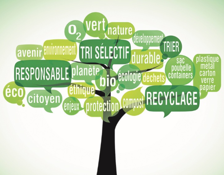 Le tri des déchets à la source envisagé à Fès Le tri des déchets à la source envisagé à Fès