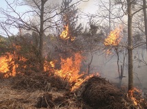 Seule une coopération intensive diminuera les risques d’incendies : 3000 hectares de forêts partent annuellement en fumée au Maroc Seule une coopération intensive diminuera les risques d’incendies : 3000 hectares de forêts partent annuellement en fumée au Maroc