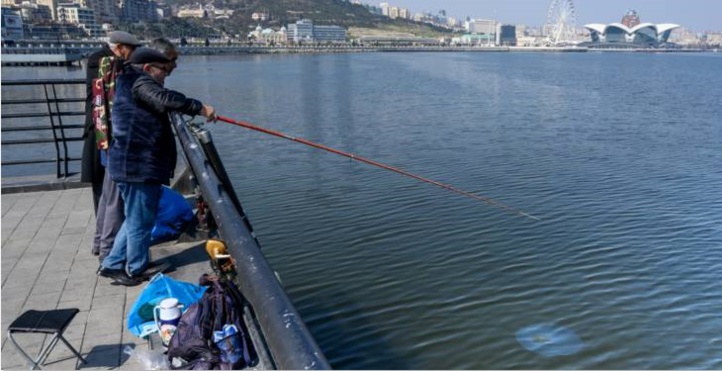 Phoques, caviar et pétrole: la mer Caspienne menacée par la pollution Phoques, caviar et pétrole: la mer Caspienne menacée par la pollution