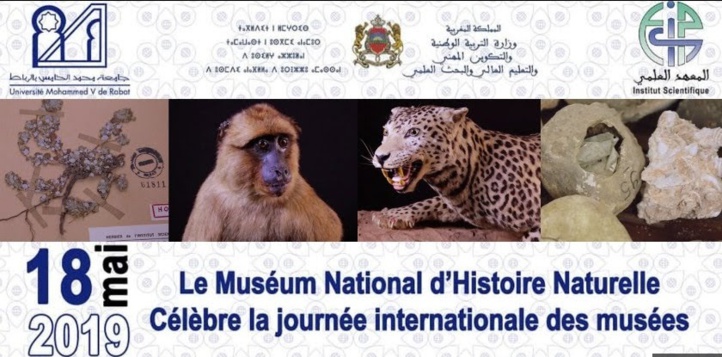 La faune et la flore à l’honneur lors de la journée internationale des musées La faune et la flore à l’honneur lors de la journée internationale des musées