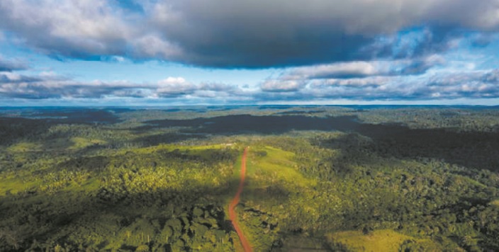 Quand la déforestation transforme l'Amazonie en baril de poudre