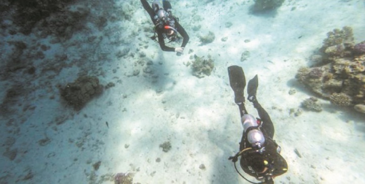 Dans les eaux bleues de la mer Rouge : Le regain du tourisme menace les coraux