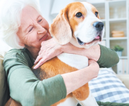 Avoir un chien aide à lutter contre les problèmes de coeur