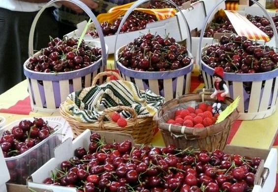 Sefrou enregistre une hausse de 85% de sa production des cerises en 2019