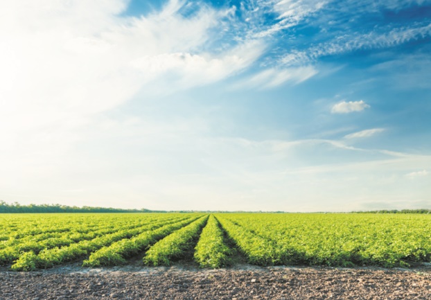 L'agriculture peut aussi rafraîchir la planète L'agriculture peut aussi rafraîchir la planète